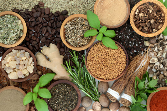 Healing Herbs and Spices for Your Kitchen